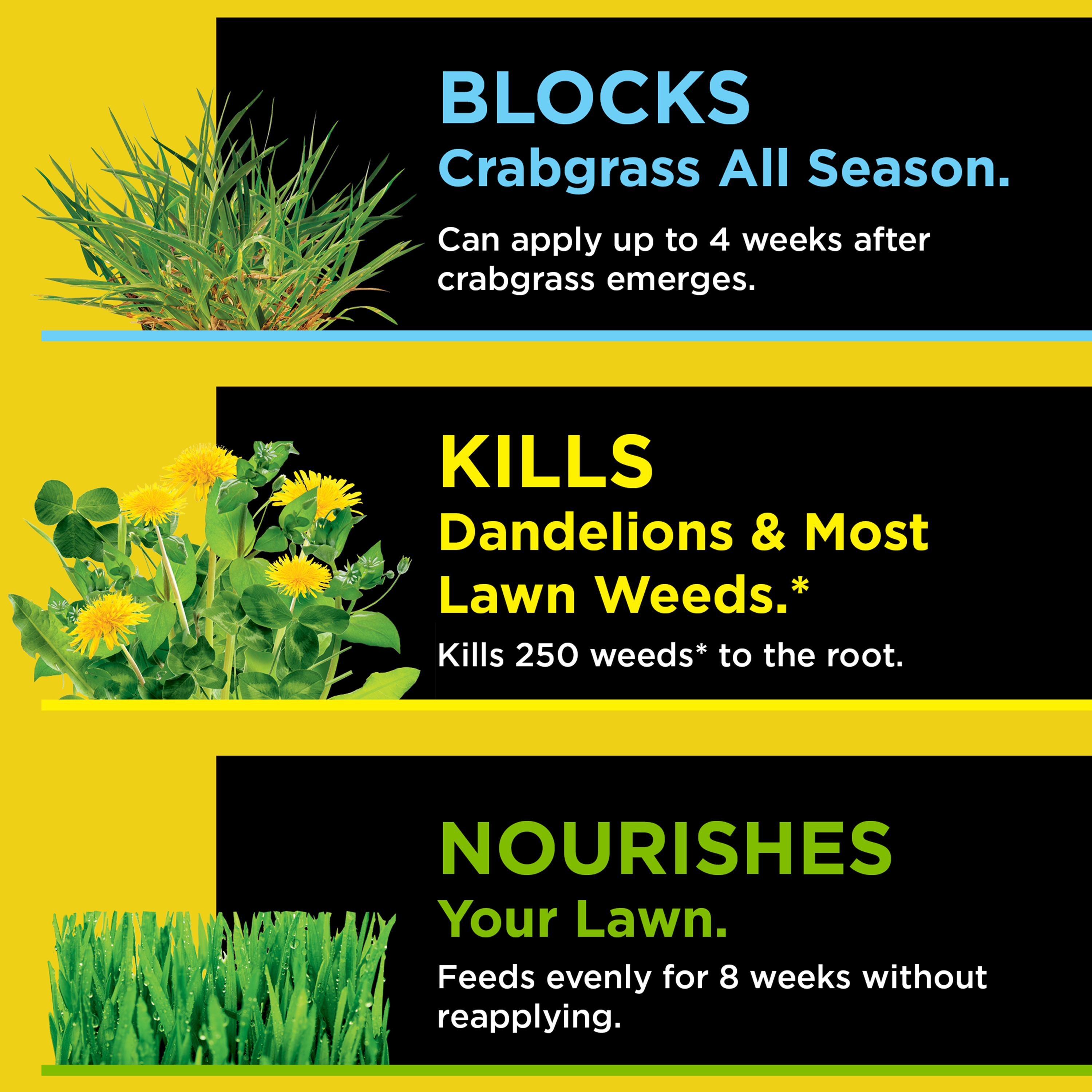 Preen One Lawncare 3-in-1 kills weeds & feeds the lawn in one step