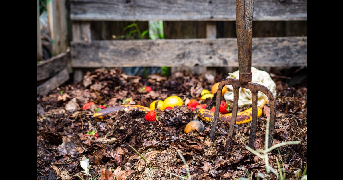 How To Prevent Weeds In Your Compost