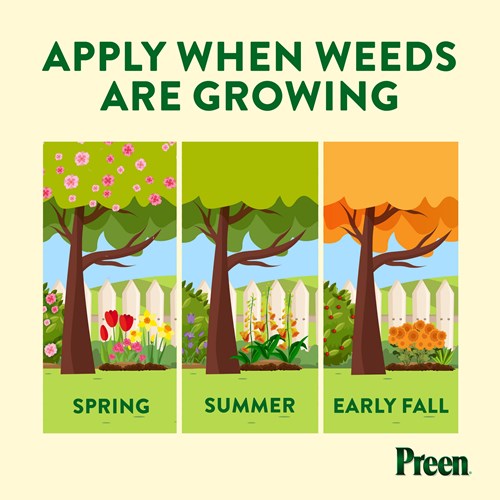 Apply Preen Garden Weed Preventer Plus Plant Food in spring summer and fall when weeds are actively growing