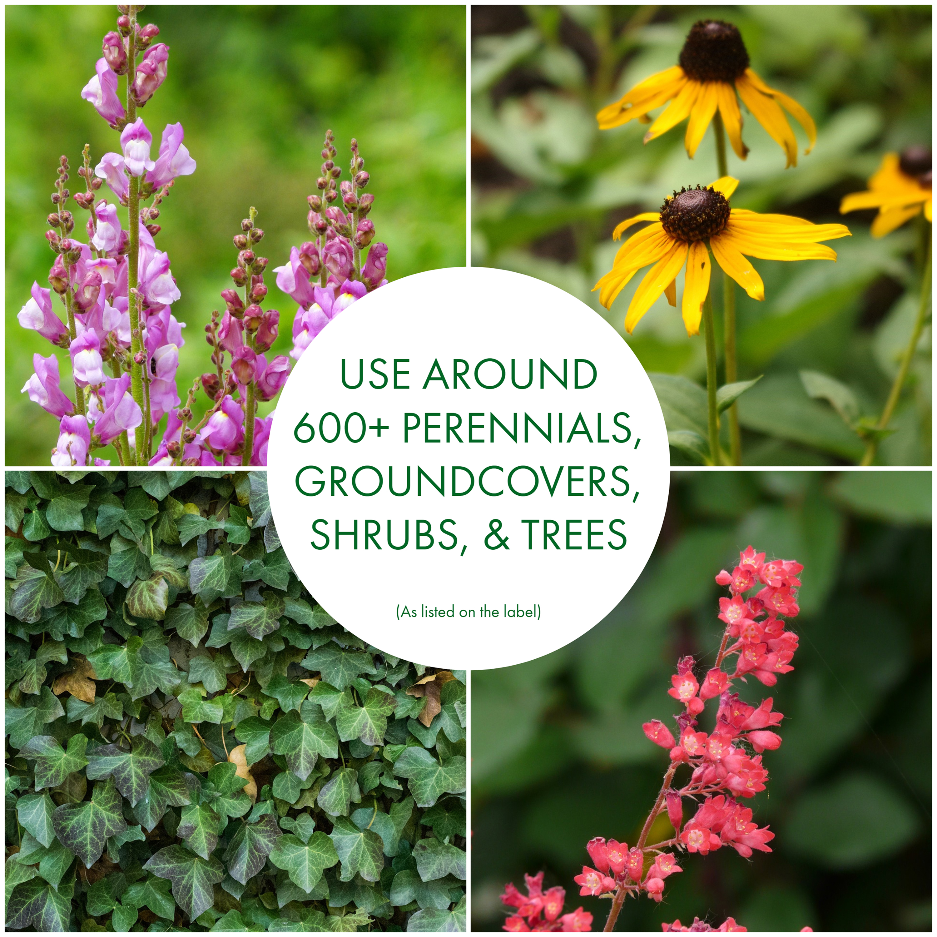 Use Preen Extended Control Weed Preventer bottle around plants