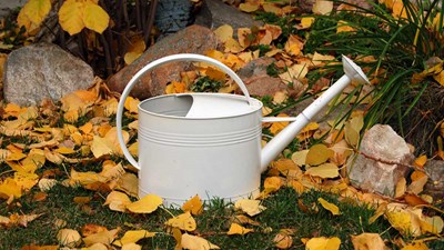 Watering can on lawn in fall