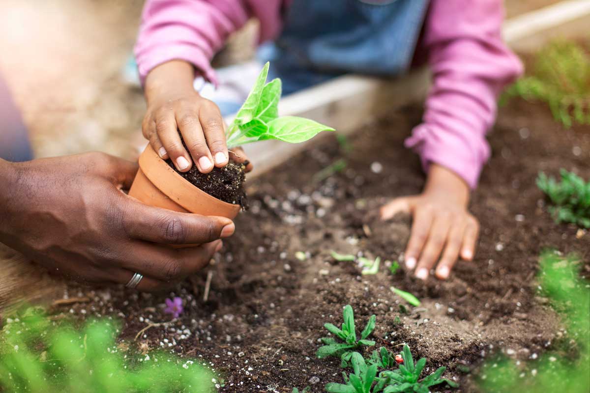 Spring gardening time will be here before you know it! Use any of these methods to prepare, while the weather may not yet be suited to be outside. FangXiaNuo / iStock / Getty Images Plus