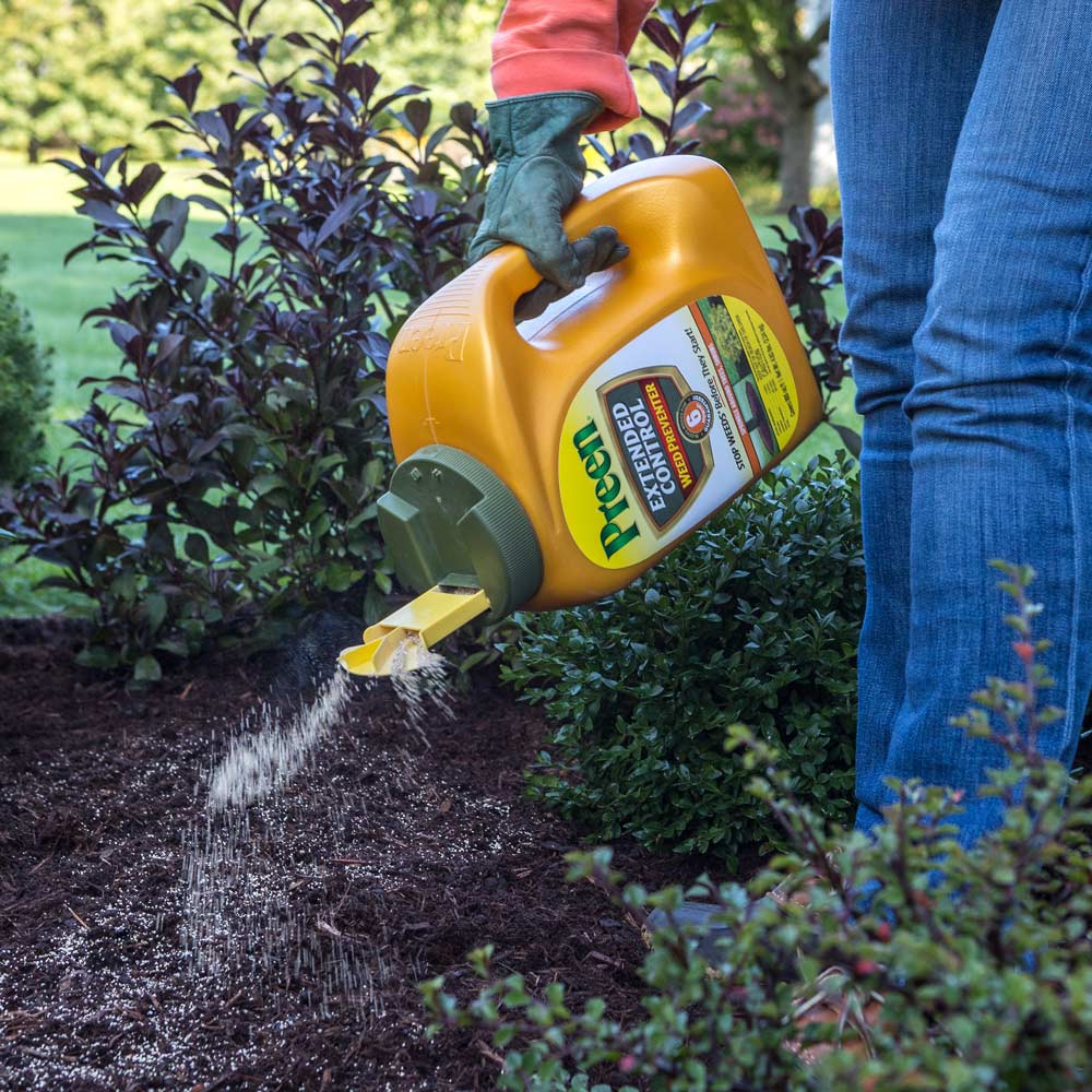 Spreading Preen Extended Control Weed Preventer in a landscape shrub bed