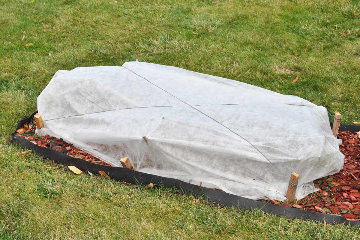 Protect tender plants from cold and wind with row covers.