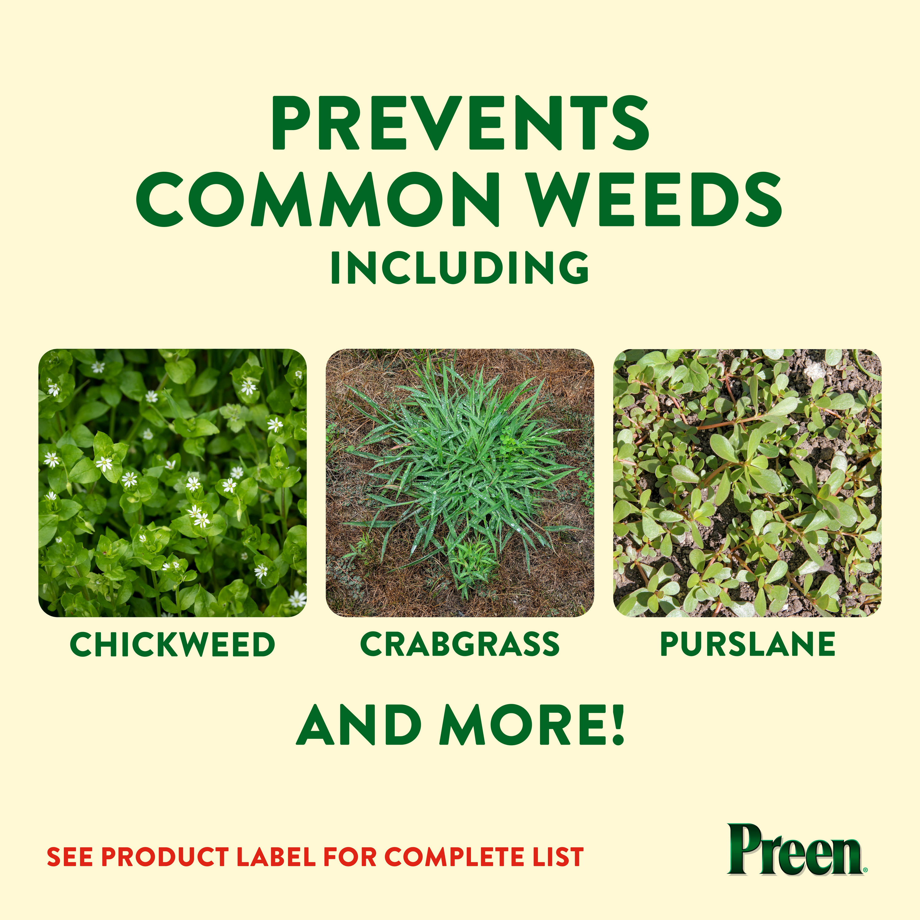 Preen Garden Weed Preventer prevents common weeds including chickweed, crabgrass and purslane
