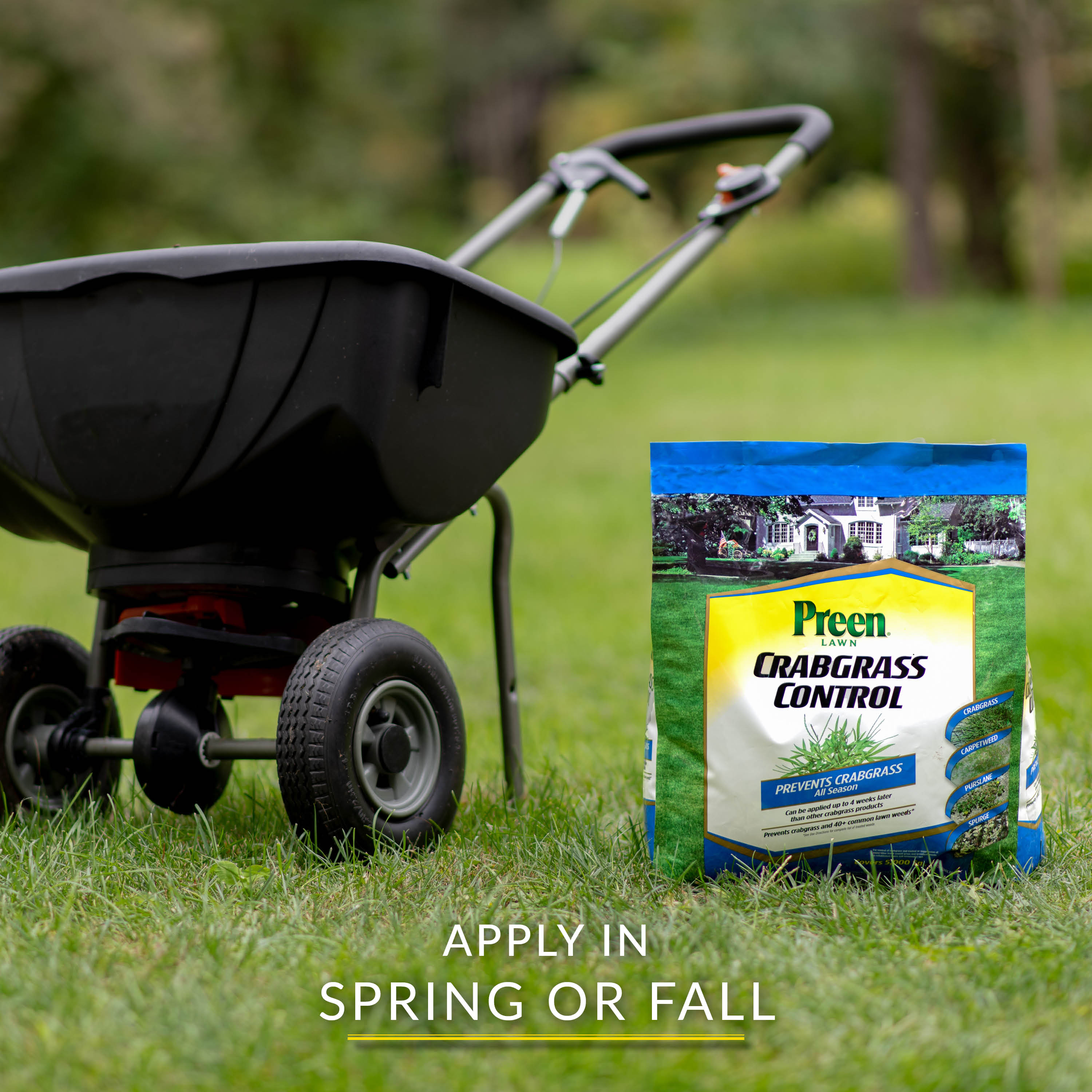Apply Preen Lawn Crabgrass Control in spring or fall