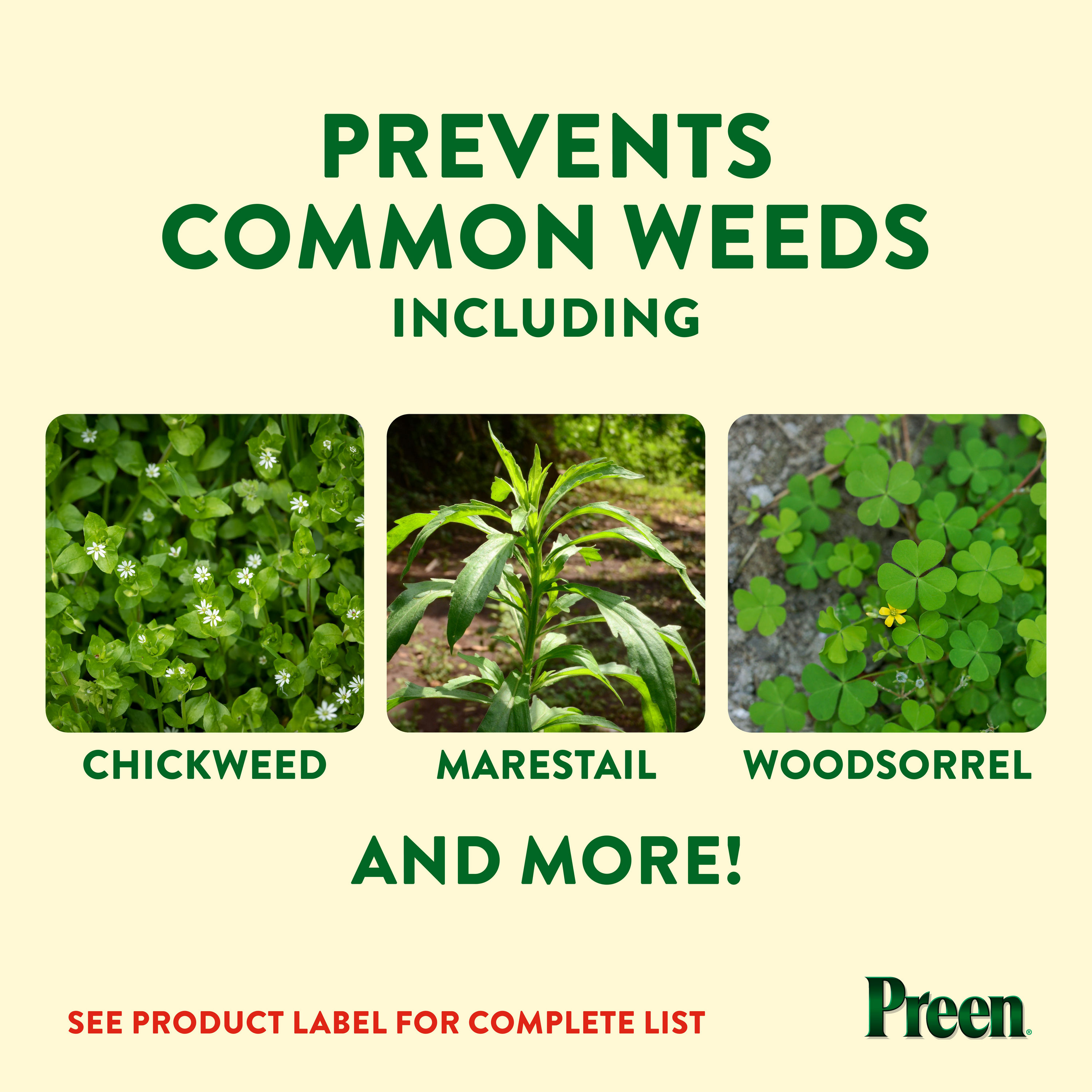 Preen Extended Control Weed Preventer prevents common weeds including chickweed, marestail and woodsorrel
