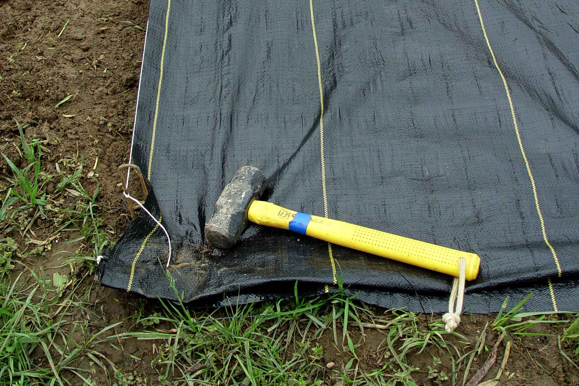 Landscape fabric used to smother weeds