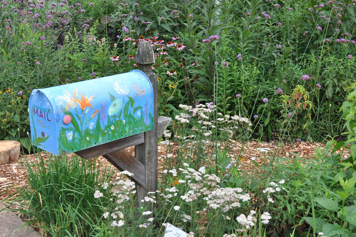 Mini meadow garden around a mailbox