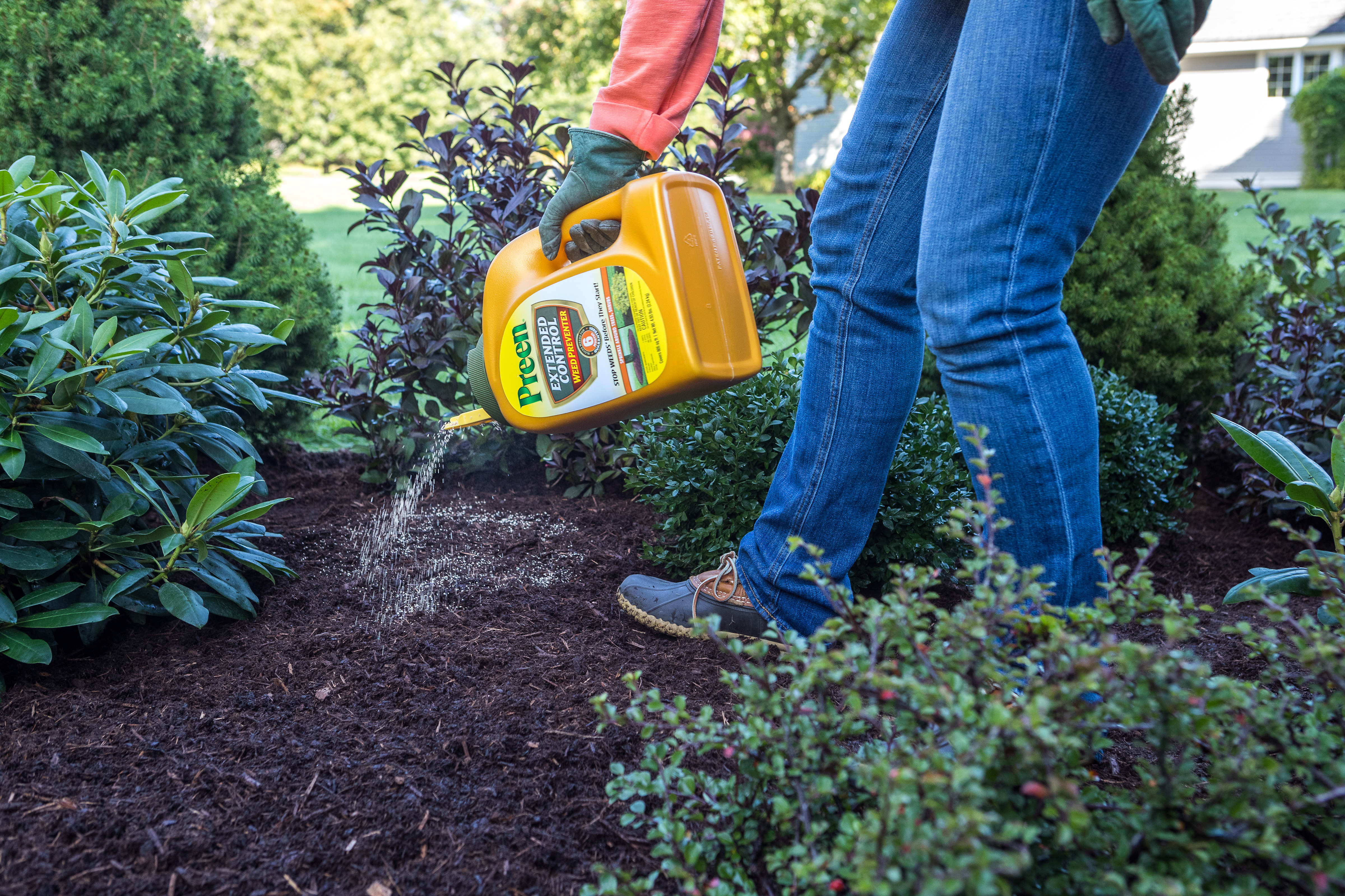 Applying Preen Extended Control Weed Preventer around shrubs over mulch to control weeds