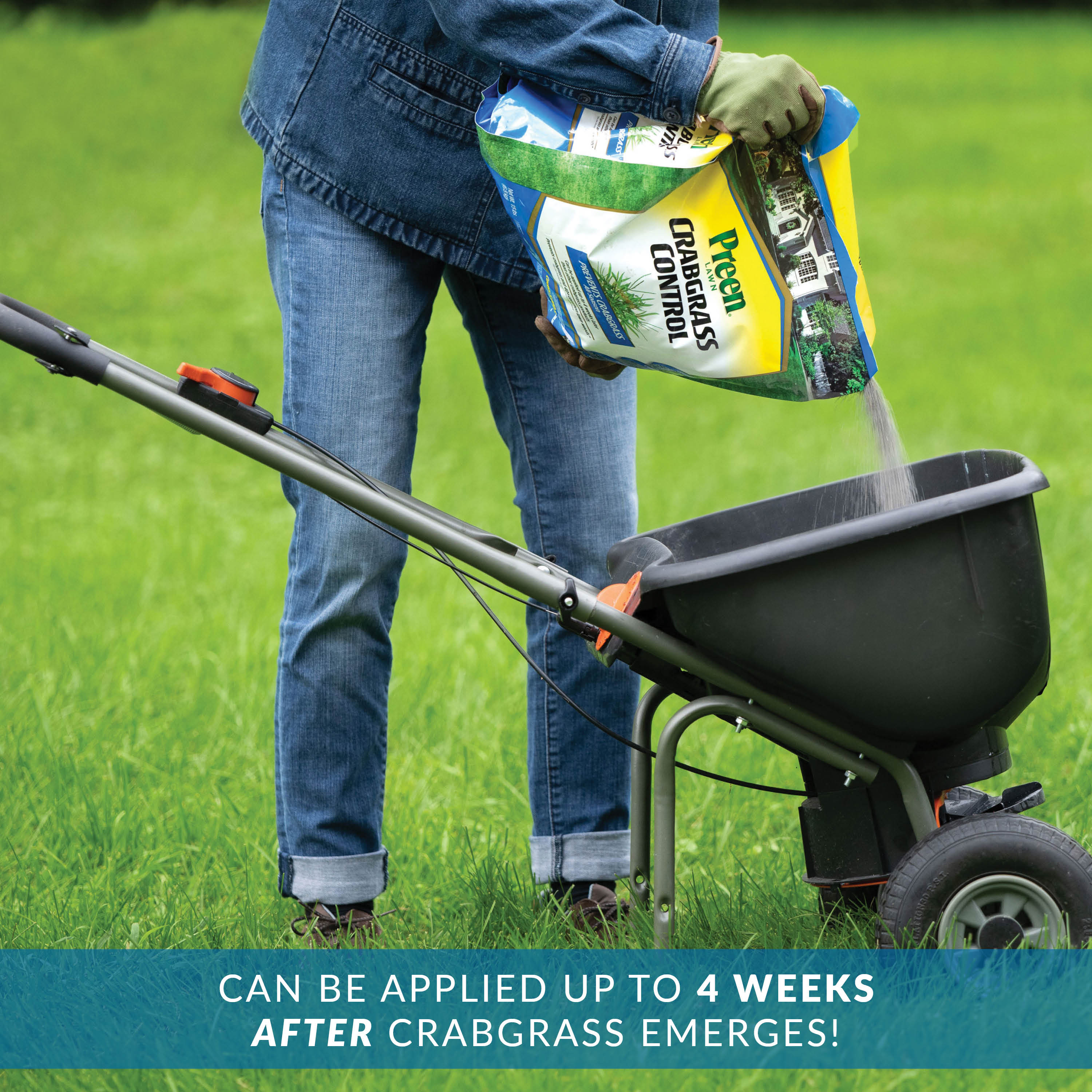 Preen Lawn Crabgrass Control can be applied up to 4 weeks after crabgrass emerges
