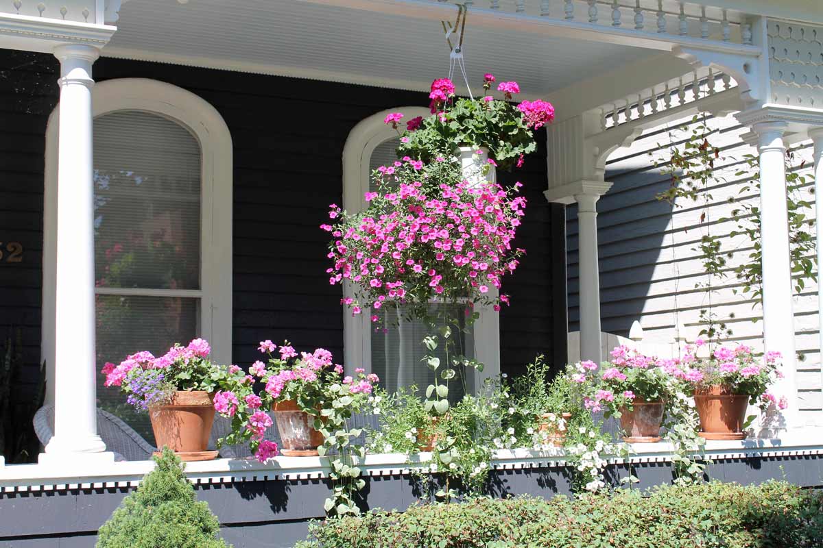 Potted plants on a porch railing.