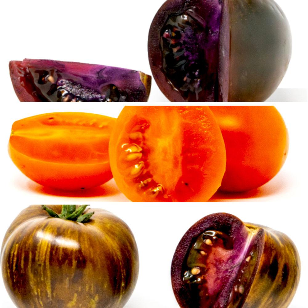 New tomatoes: Dark Hollow, top, The Beta, middle, and The Eleven