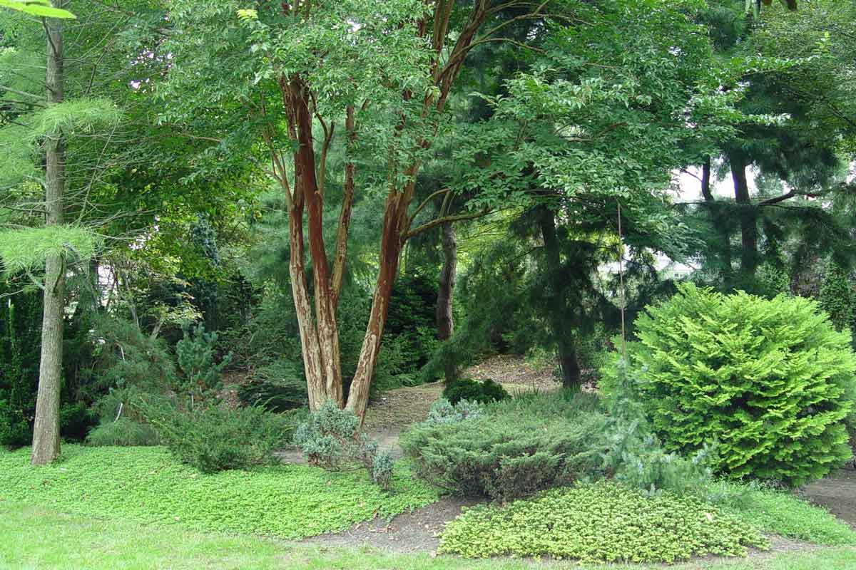 Strategically placed trees and shrubs provide privacy in this corner. George Weigel